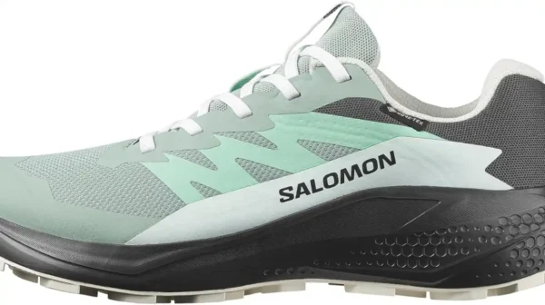 Zapatillas Salomon Alphaglide Gore-Tex mujer