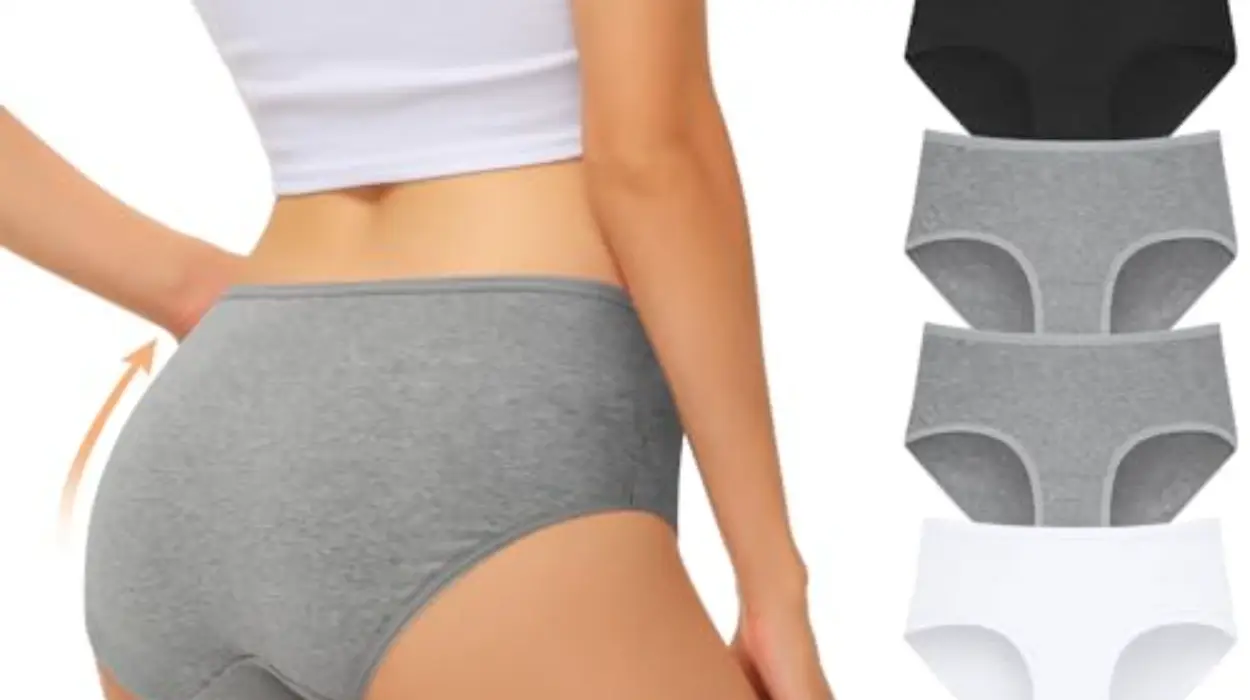 Pack de 6 bragas de algodón Falary para mujer por 12,63€ (−37 %)